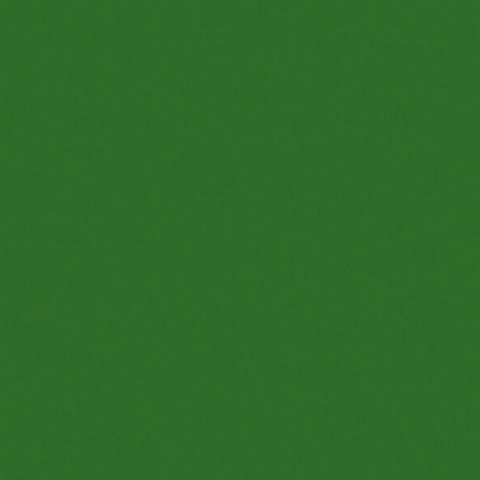 ЛДСП Папоротник зелёный (U650 ST9) 2800x2070x16мм, Egger