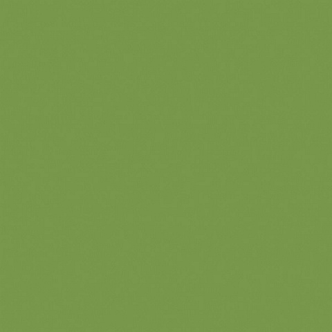 ЛДСП Зелёный киви (U626 ST9) 2800x2070x25мм, Egger