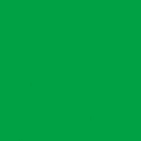 ЛДСП Зелёный май (U600 ST9) 2800x2070x10мм, Egger